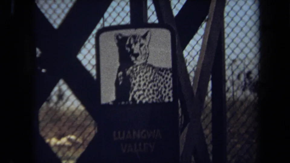 1971 Laguna Hills zoo sign showing a cheetah illustration above Luangwa Valley text, seen through chain-link fencing.