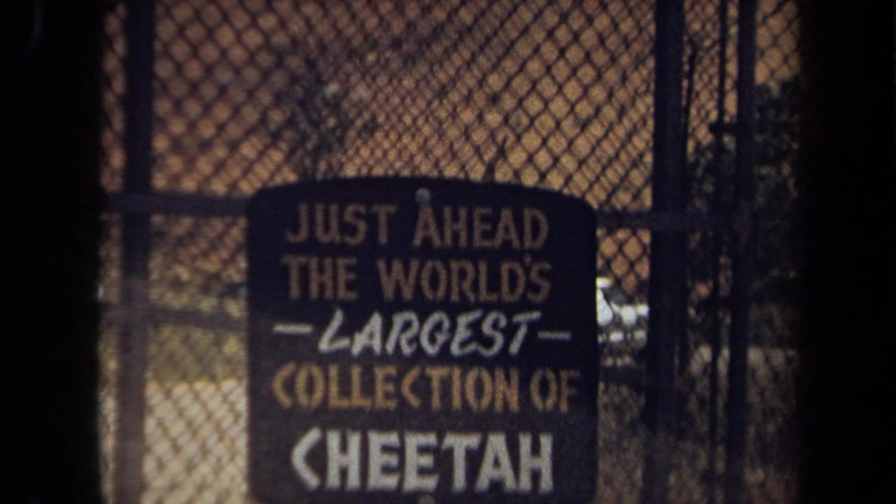 Zoo sign in Laguna Hills, California, framed through fencing and dark foreground bars in warm 8mm footage.