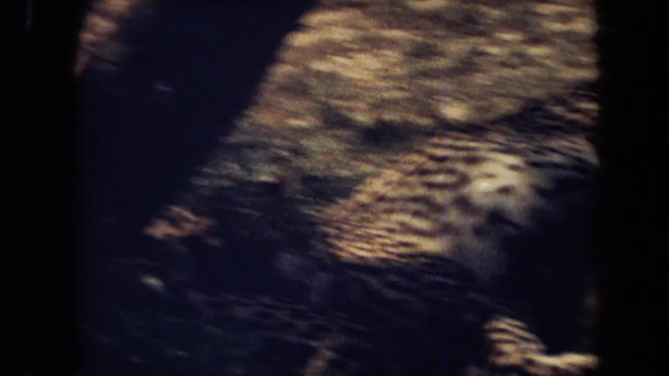 Soft 8mm frame showing a close, partially obscured spotted big cat resting outdoors, with heavy shadow and motion blur.