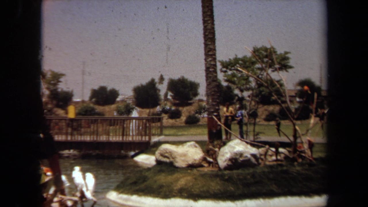Park pond with a wooden bridge, palm trunk, boulders, lawn, and distant visitors.