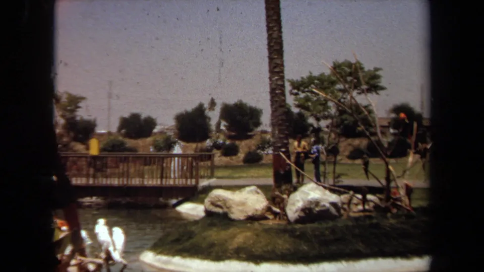 1971 Laguna Hills park view with pond water, a wooden footbridge, palm tree, rocks, grass, and distant people near paths.