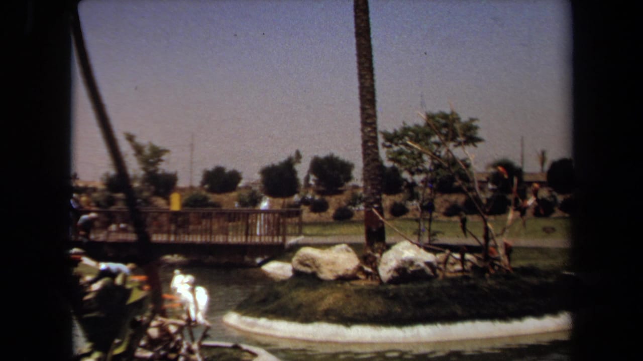 Pond edge, footbridge, rocks, palm trees, lawn, and distant people in a sunny park.