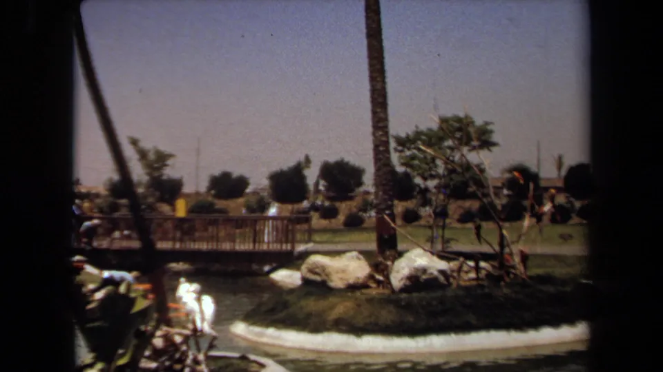 Laguna Hills park scene from 1971 showing the pond, bridge, boulders, palms, clipped grass, paths, and distant visitors.
