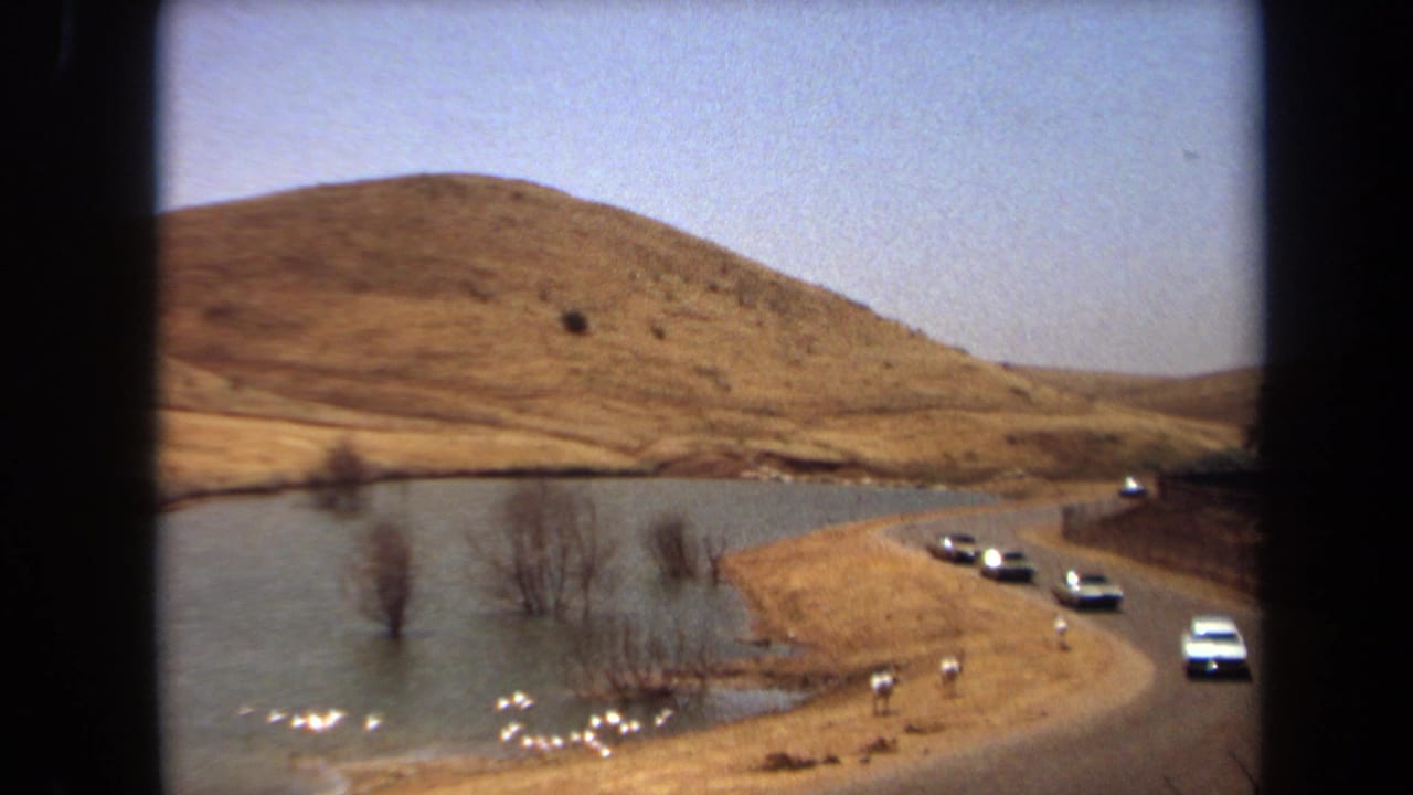 1971 Laguna Hills home-movie frame showing cars on a road beside a pond, white birds, bare trees in water, and golden hills.