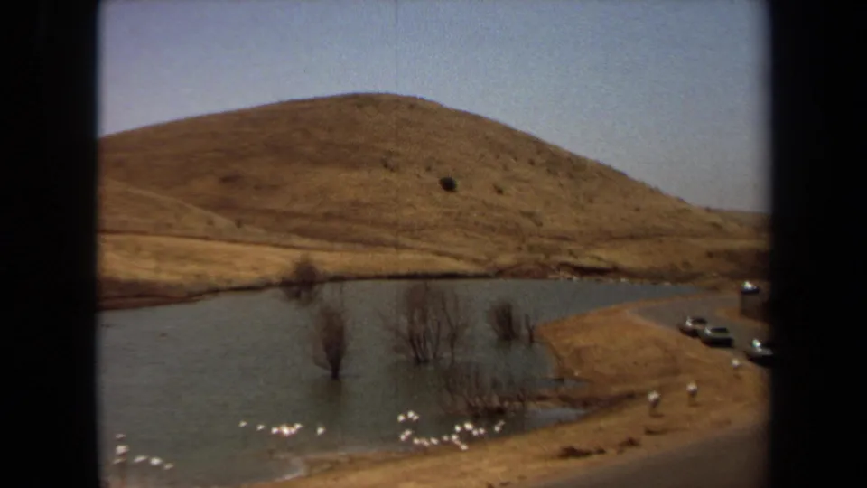1971 Laguna Hills home-movie frame showing pond water, submerged bare trees, white birds, dry hillside, and cars at the road edge.