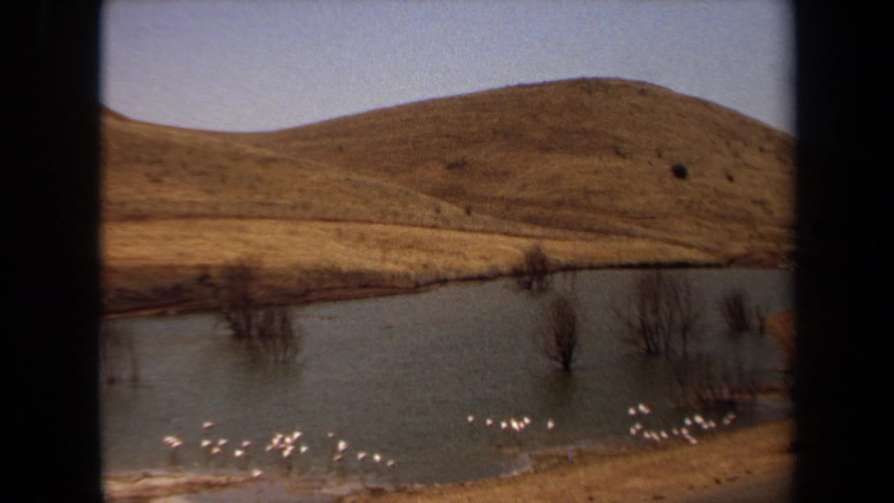 1971 Laguna Hills home-movie frame showing rolling golden hills, still water, bare shoreline trees, and small white birds near the bank.