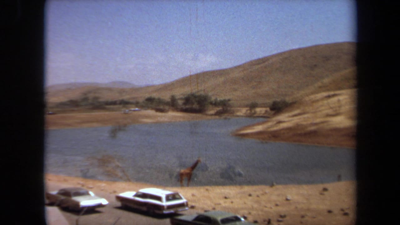 1971 Laguna Hills frame with a giraffe near the water, several parked period cars, dry hills, and distant trees under a clear sky.