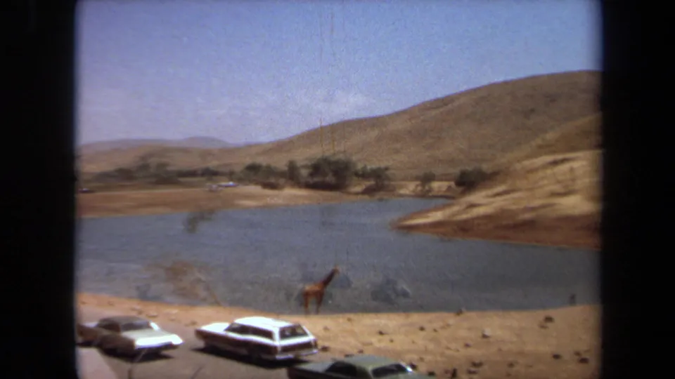 1971 Laguna Hills frame with a giraffe near the water, several parked period cars, dry hills, and distant trees under a clear sky.