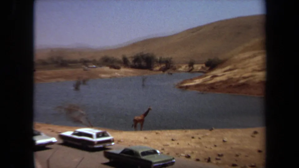 1971 Laguna Hills 8mm still showing a giraffe beside the lake, parked cars at the lower edge, dry hills, and sparse trees beyond the water.