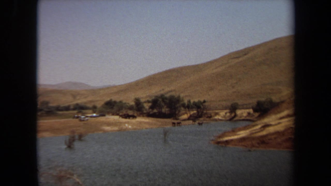 1971 Laguna Hills home-movie frame showing a waterway, dry rolling hillside, trees, and distant dark grazing animals.