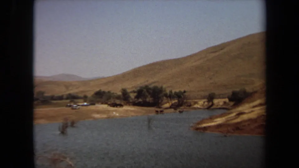 1971 Laguna Hills home-movie frame showing a waterway, dry rolling hillside, trees, and distant dark grazing animals.