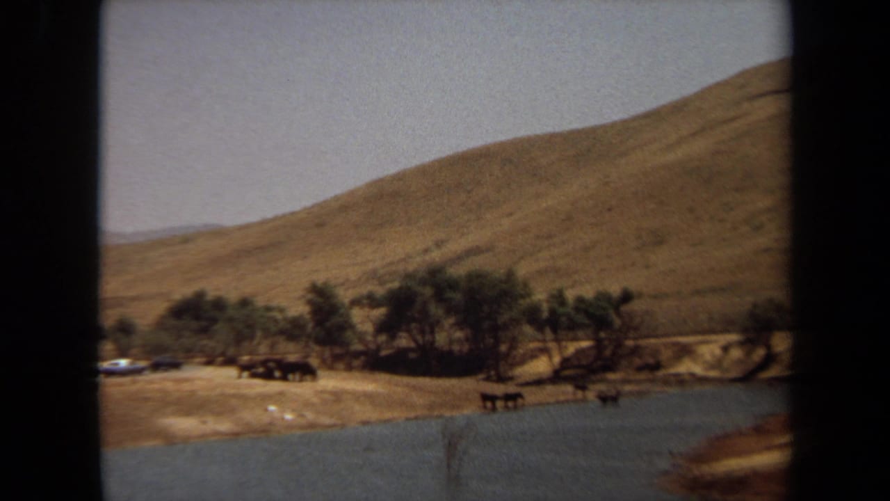 Animals stand along a sandy riverbank beneath dry hills and trees.