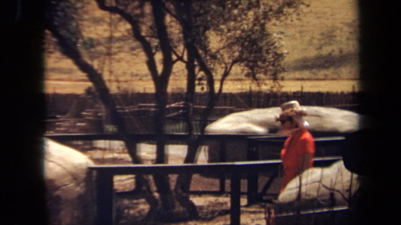 In 1971 Laguna Hills footage, a woman in an orange dress and brimmed hat walks along a wooden zoo pathway beside large rocks.