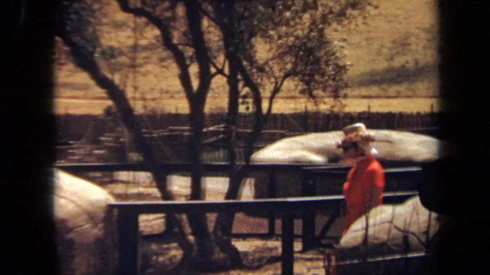 In 1971 Laguna Hills footage, a woman in an orange dress and brimmed hat walks along a wooden zoo pathway beside large rocks.