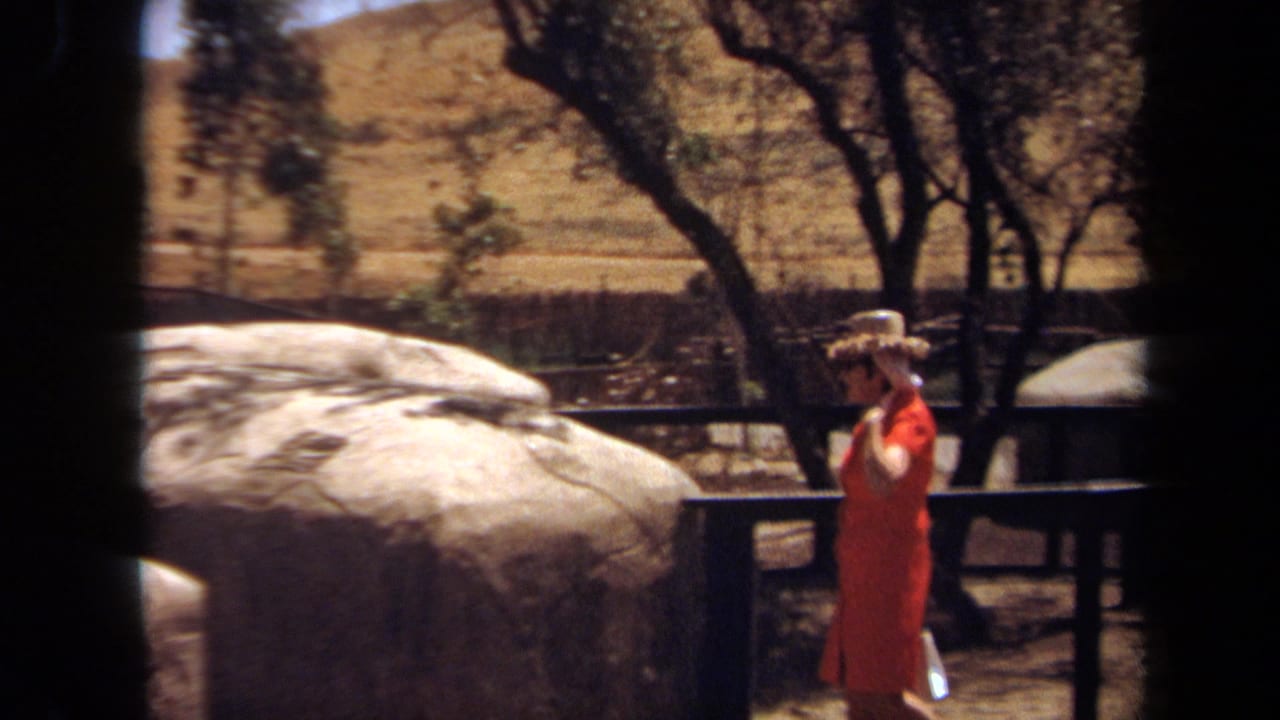Woman in orange stands near a railing with large rocks and trees behind her.