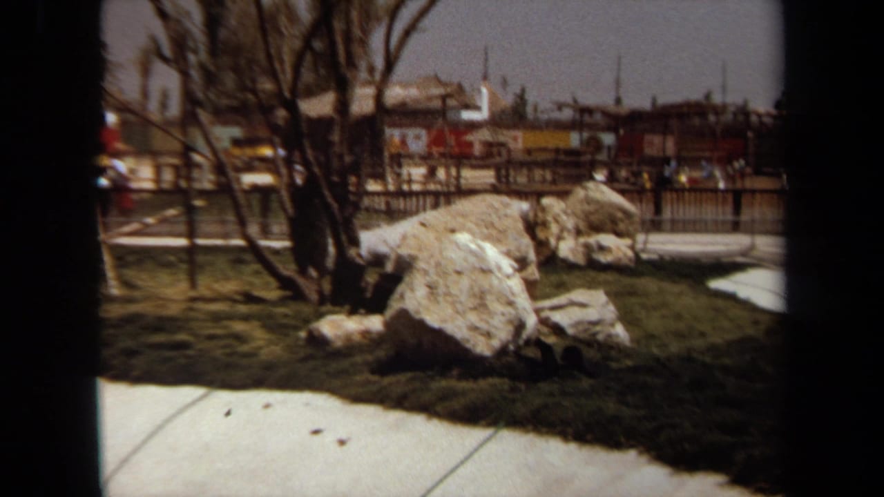 Park scene with large rocks, grass, bare trees, fence and distant buildings.