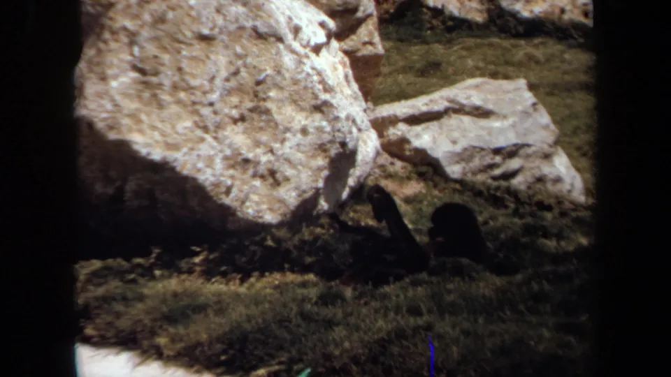 1971 Laguna Hills 8mm frame showing park boulders and a dark, unclear animal-like form lying near the rocks.