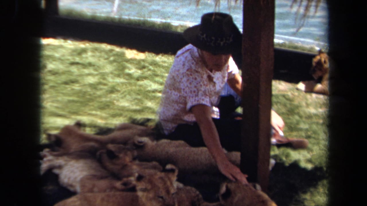 Woman sits beside lion cubs with a larger lion visible in the background.