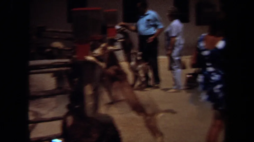 1971 Laguna Hills zoo scene with goats gathered by a feeding station while adult visitors stand near a low rustic barrier.