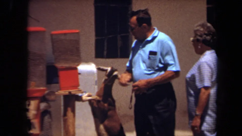 The man and woman stand beside a red feed machine as the goat reaches toward the man's hand in the 1971 petting-zoo scene.