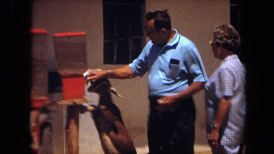 At the petting zoo in Laguna Hills, the man reaches toward the goat near the red feed machine as the woman observes.