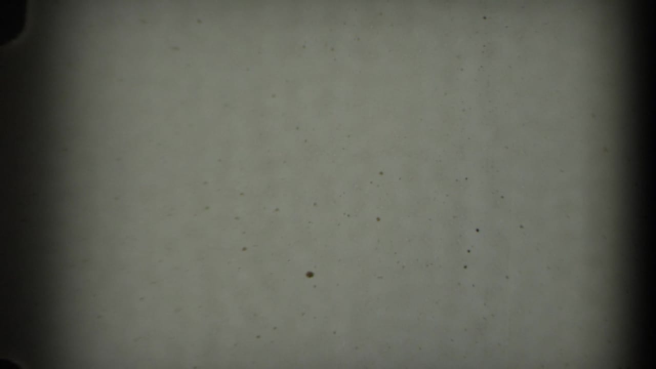 Mostly blank faded film frame with dust specks and dark 8mm gate edges.