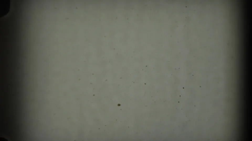 Faded 8mm frame from the 1971 Long Beach clip showing no clear subject, only film texture and gate edges.