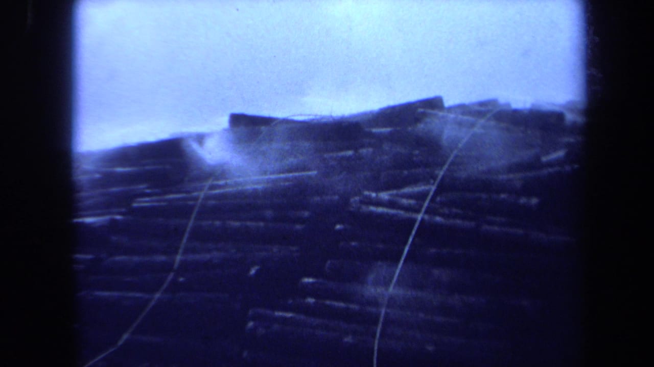 1971 Maine 8mm frame showing piled cut logs under a pale sky, with smoke or haze crossing the timber.
