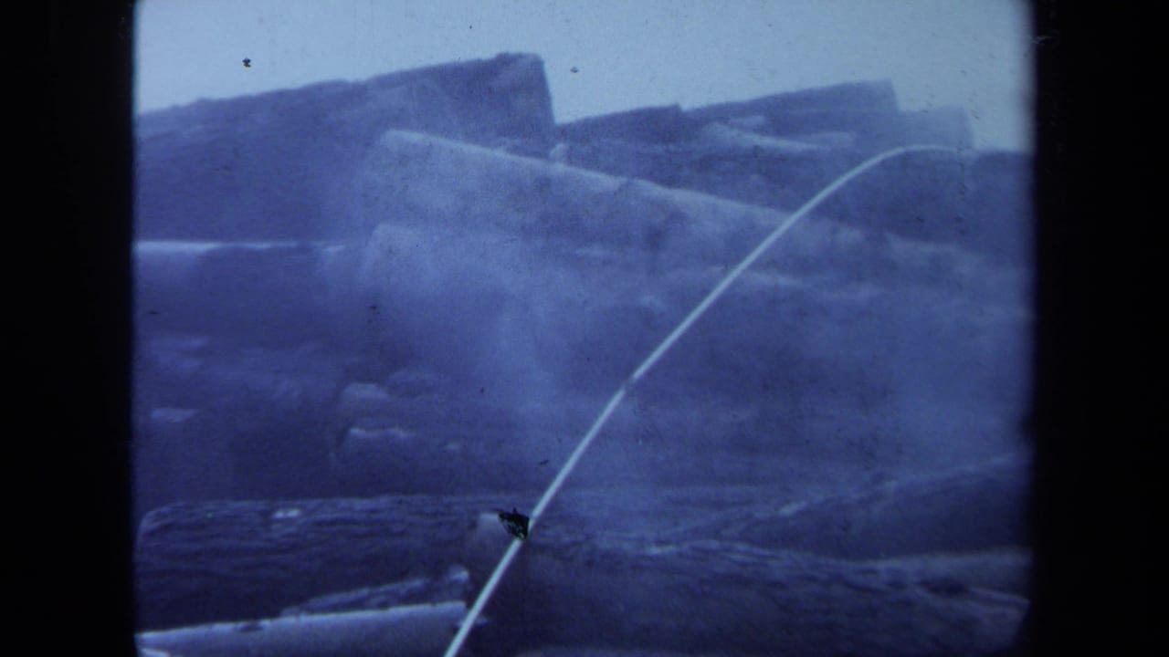 Blue-toned 8mm frame of stacked logs with a pale diagonal rope or cable.