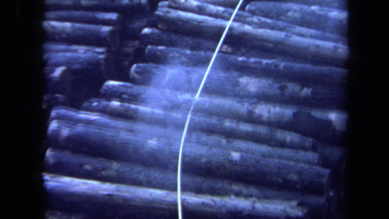 Large log pile with a curved pale line near the right side.