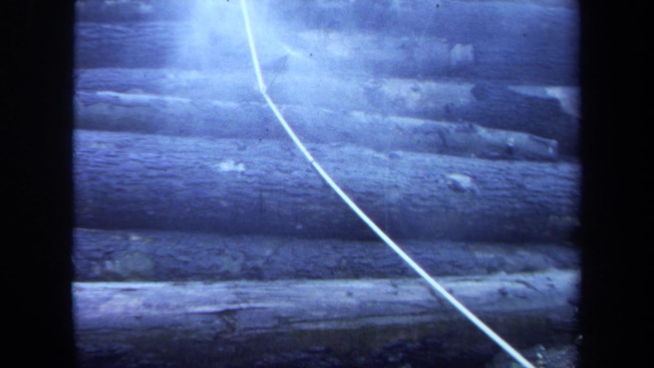 Horizontal logs fill the frame with a pale diagonal cable over them.
