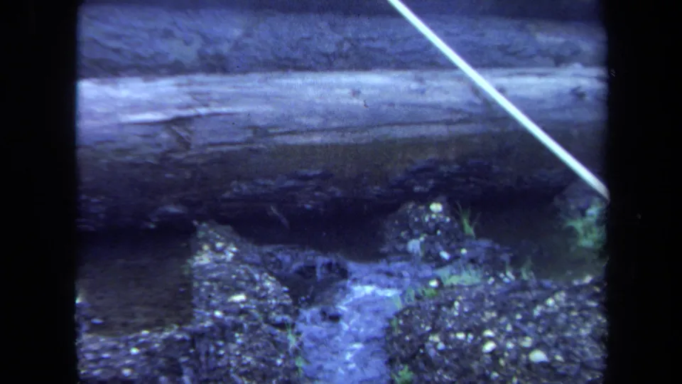 1971 Maine 8mm frame showing horizontal logs above a small trickling stream, gravel banks, plants, and a diagonal pale cable.