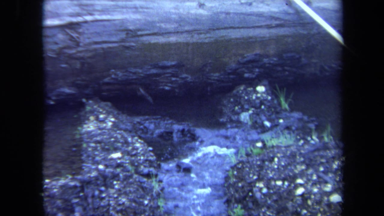 1971 Maine 8mm frame showing shallow water running past gravel, stones and small grass clumps.
