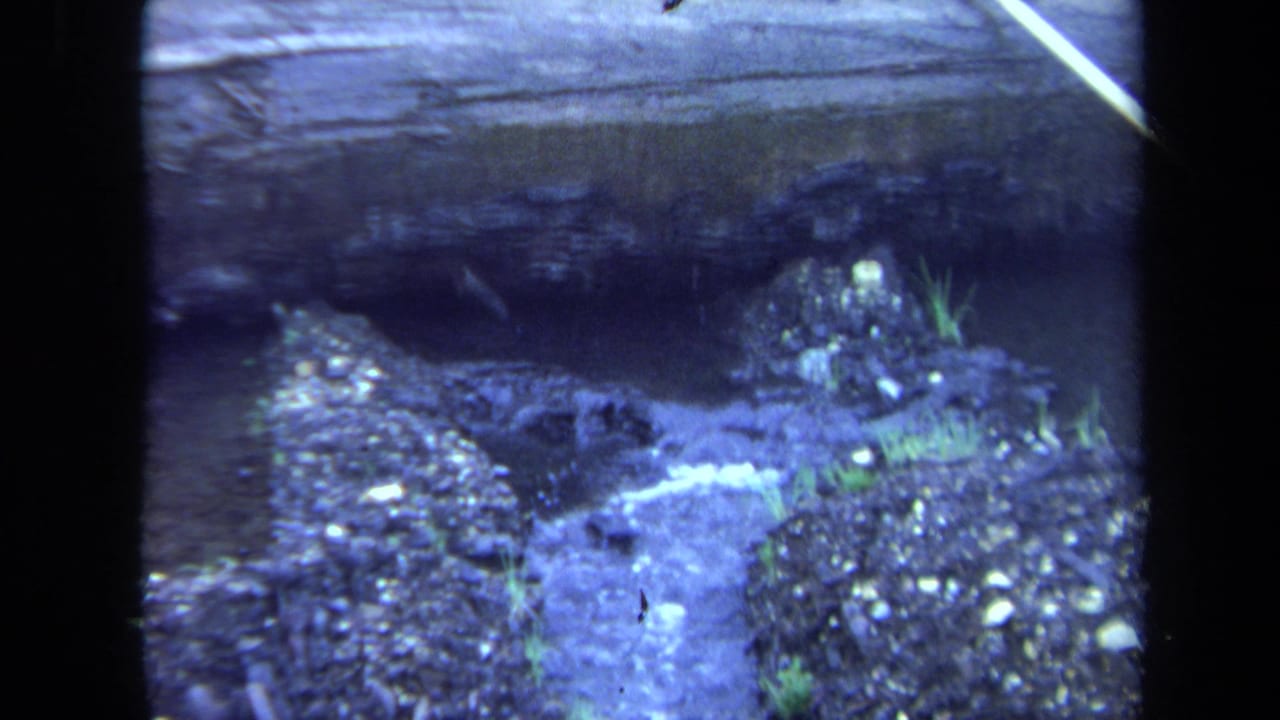 Small rocky stream channel with grass patches and a pale diagonal edge at top right.