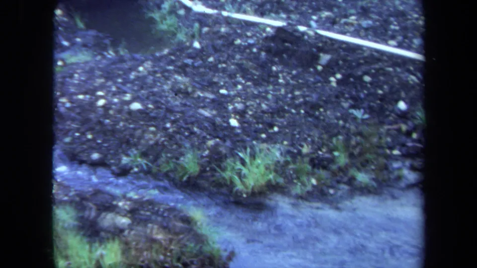 1971 Maine 8mm frame focused on gravelly streamside terrain, grass and a shallow water edge.