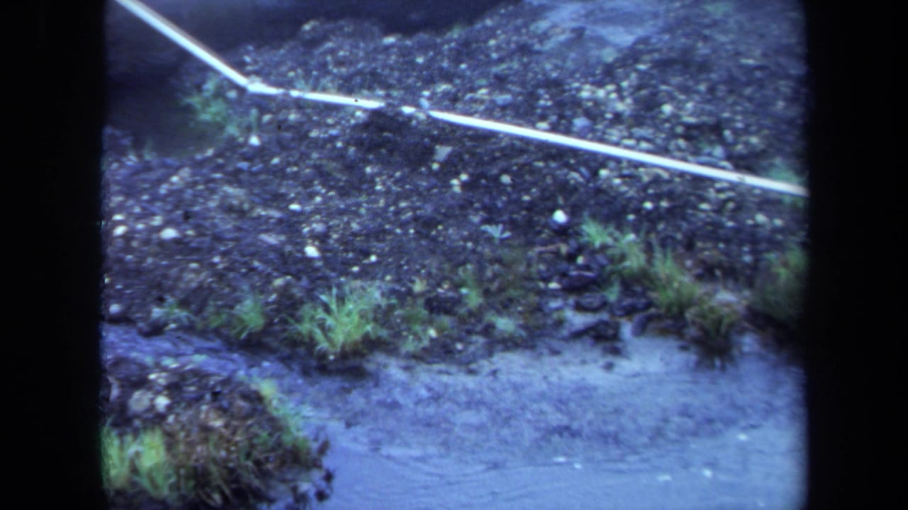 1971 Maine 8mm frame showing a small stream edge with wet soil, scattered stones, grass, and a white plastic tube running diagonally across the bank.