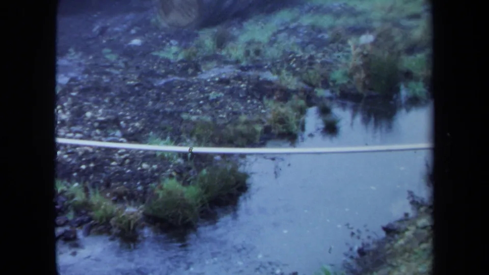 1971 Maine 8mm frame showing a muddy stream edge with shallow pooled water, grass, scattered stones, and a pale plastic tube crossing the foreground.