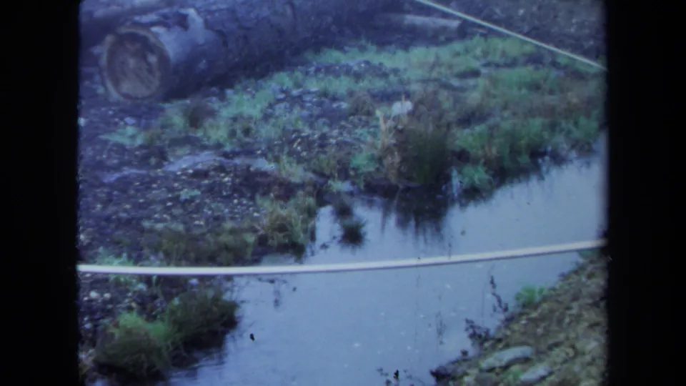 1971 Maine home-movie frame of a shallow stream and grassy bank, with a white plastic tube in the foreground and a rough log or pipe-like object near the upper edge.