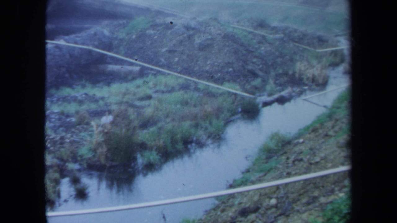Small stream bordered by weeds and mud, with pale pipes running across the watercourse.