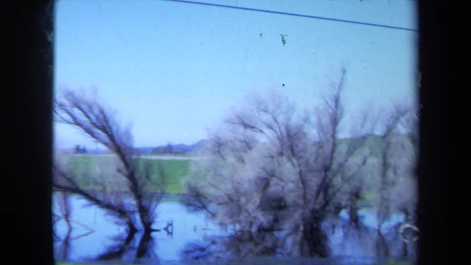 1971 Maine 8mm frame of leafless trees partly submerged in floodwater, with open green fields beyond.
