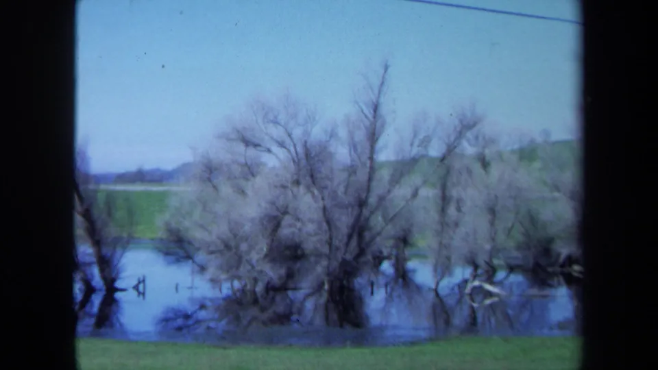 1971 Maine 8mm frame showing leafless trees reflected in floodwater below a grassy bank and distant fields.