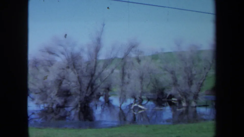 1971 Maine 8mm frame of partially submerged bare trees, reflected branches, and a grassy foreground edge.