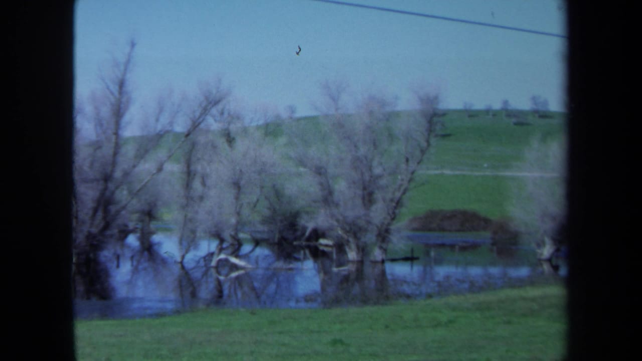 Bare riverside trees reflected in still water with a grassy hill in the background.