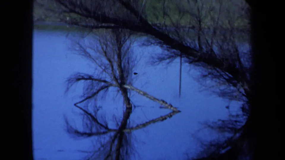 1971 Maine home-movie frame showing a bare tree and its reflection in blue water, bordered by dark frame edges and a grassy shore.