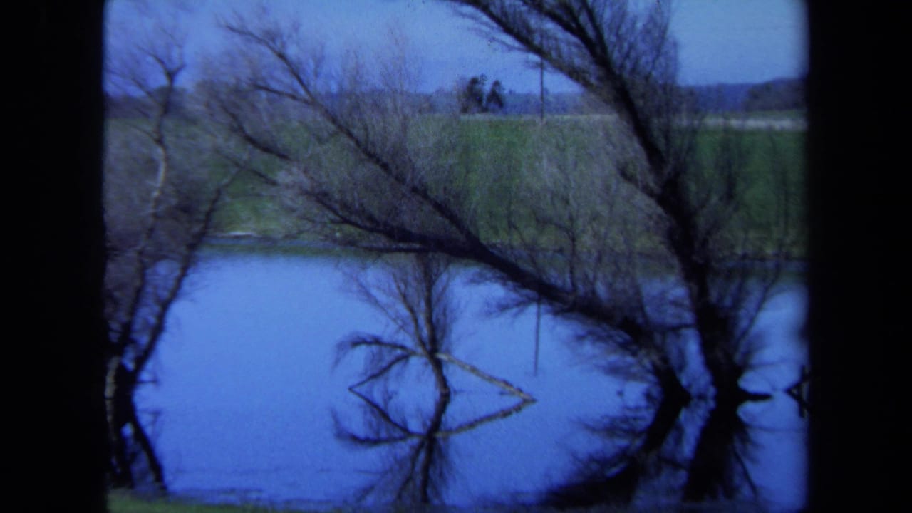 1971 Maine 8mm frame of bare trees and their reflections across a calm blue lake, with grass and distant treeline beyond.