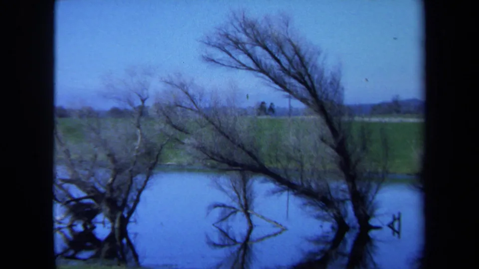 1971 Maine 8mm frame of a blue-toned lake bordered by bare trees, reflected branches, and an open grassy bank.