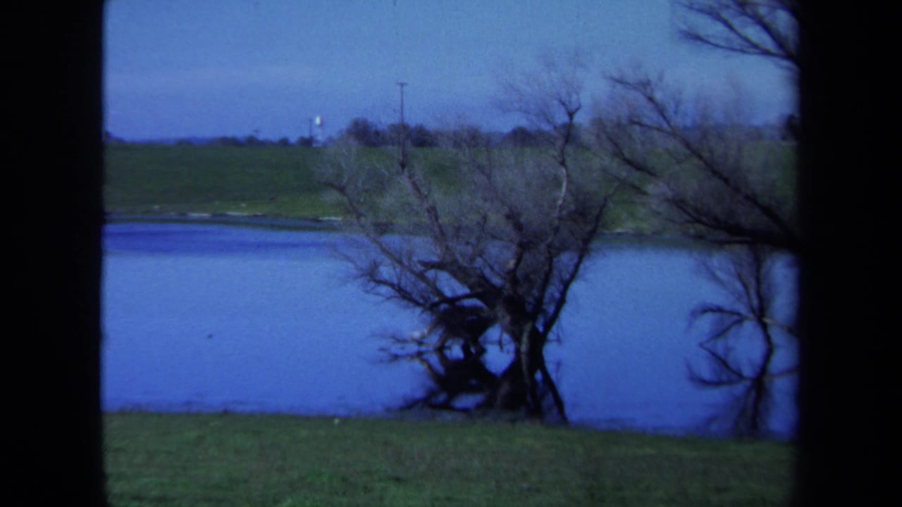 1971 Maine 8mm frame showing a gnarled dead tree in shallow blue water with grass and distant low hills beyond it.