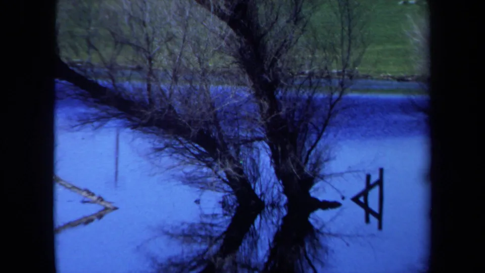 1971 Maine 8mm frame showing a large leafless tree, brush, and reflections in blue flooded water near a small fence-like object.