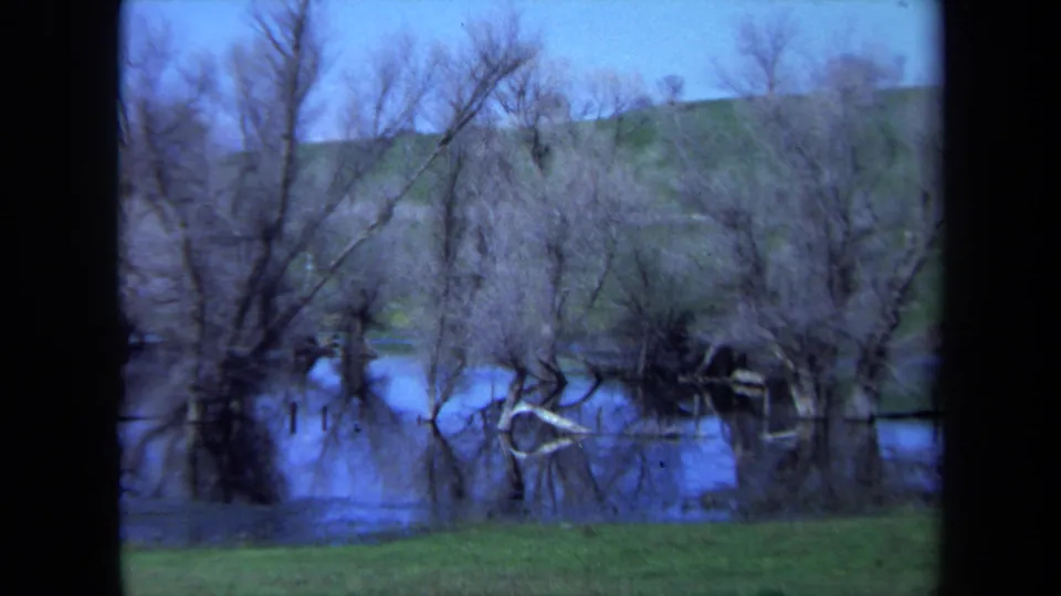 1971 Maine 8mm frame of bare trees beside a blue lake or pond, with grass in the foreground and soft vintage color shift.