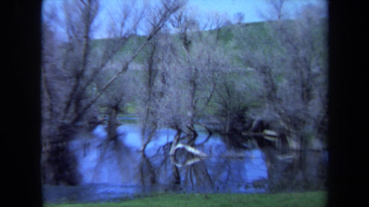 1971 Maine 8mm frame showing bare trees standing in still creek water with branch reflections and a pale fallen log near the bank.